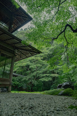 京都　瑠璃光院　お寺　写真素材　旅行　観光　日本庭園　寺　寺社仏閣