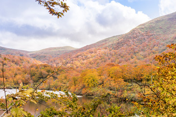 秋色　栗駒須川湖の紅葉
