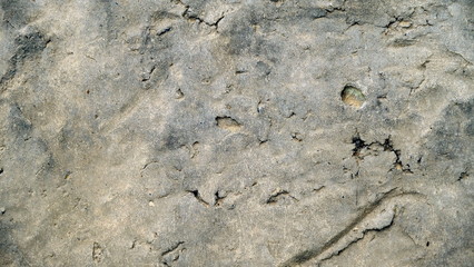  The concrete surface of the wall of the house. Background image for your design