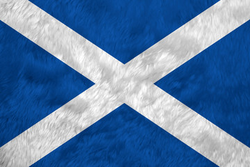 Towel fabric pattern flag of Scotland, it is a blue field with a white diagonal cross that extends to the corners.