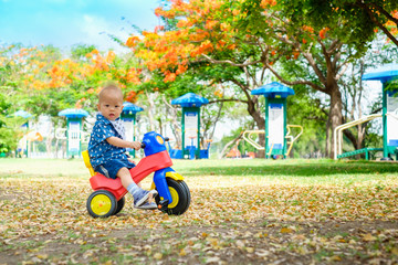 Cute little Asian 1 year old toddler baby boy child riding his tricycle in summer park, kid playing...