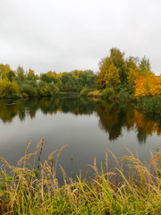 Autumn pond surrounded by colorful trees and shrubs