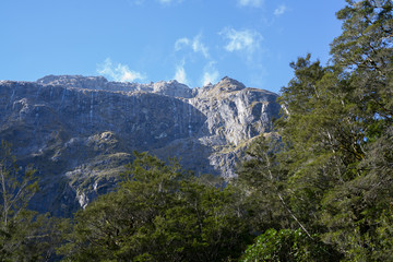 Fototapeta na wymiar View of rocky mountain from beech forest in Milford Sound,New Zealand.