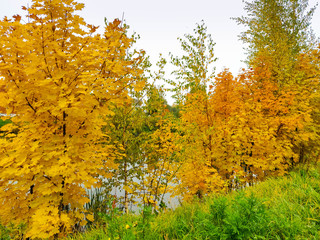 Obraz premium Autumn pond surrounded by colorful trees and shrubs