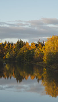 Autumn riverbank 2 © Roni