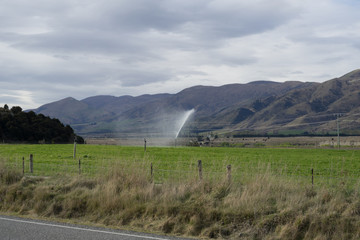 Dairy farm irrigation system or watering system.Large water sprinkler system in dairy farm.