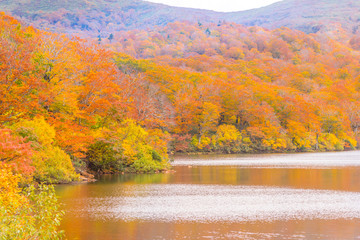 秋色　栗駒須川湖の紅葉