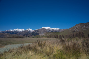 Beautiful scenery of snowcap mountain with green dairy farm in Arthur's Pass,New Zealand.