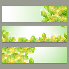 Nature website headers with shiny leaves.