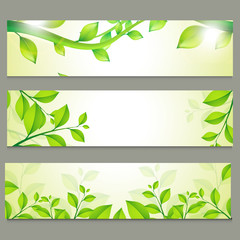 Ecological website headers with green leaves.
