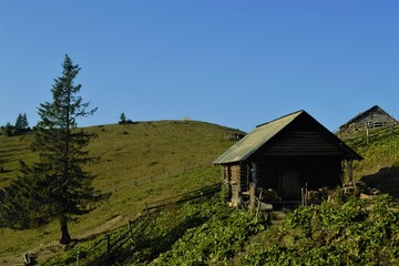 Fototapeta na wymiar wooden mountainside house