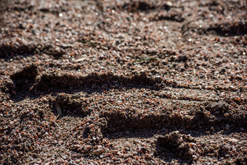 Fine gravel with tire marks on the road