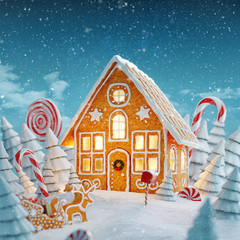 Amazing fairy Christmas house