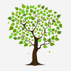 Illustration of tree with green leaves.