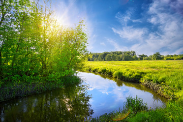 Bend of river with green trees and meadow on shore