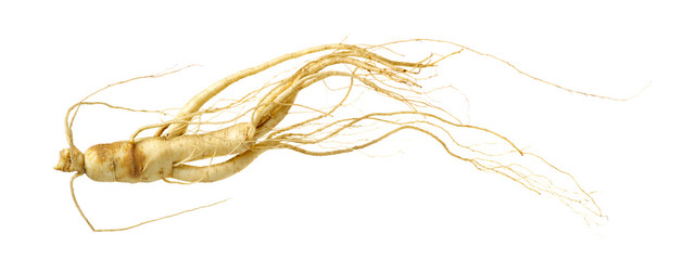 ginseng isolated on white background