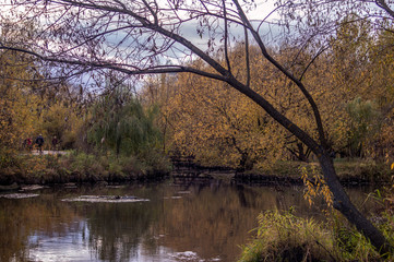 Confluence of two rivers