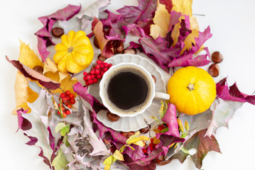 Autumn coffee time. Autumn leaves, pumpkins and berries on white table. 