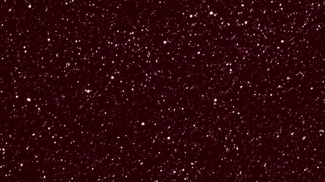 beautiful festive shiny video with shimmering red sequins
