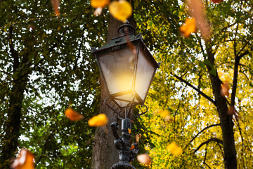 Burning Lamppost with falling leafs in the autumn, colorful golden, orange and yellow colors in a forest landscape closeup