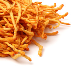 Fresh Cordyceps mushroom on white background