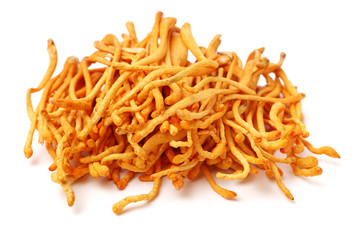 Fresh Cordyceps mushroom on white background