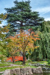 Beautiful Albert Kahn Park in autumn - Boulogne-Billancourt near Paris, France