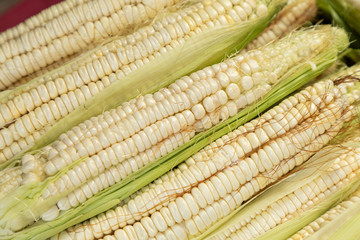 ears of corn in the market