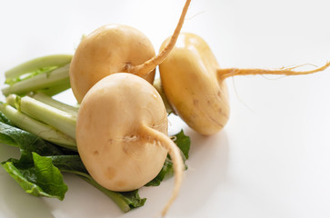 fresh ripe turnips on white background