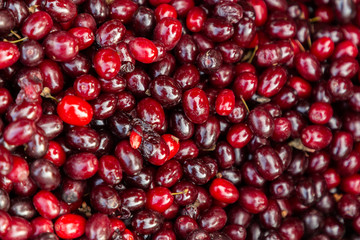 berries for sale in the market