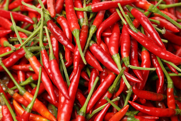 Red chili peppers background