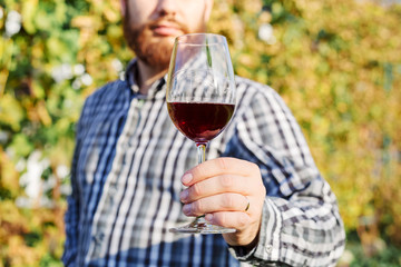 Handsome wine maker holding in his hand a glass of red wine and tasting it, checking wine quality while standing in vineyards. Small business, Homemade wine making concept.