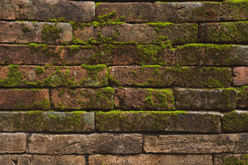 Old brick wall with green moss , old texture of red stone blocks closeup