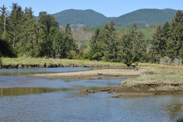 Olympic Halbinsel, Washington