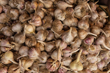 garlic for sale