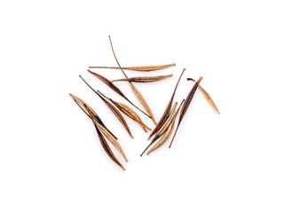 Obraz premium Close up cosmos seeds on white background.