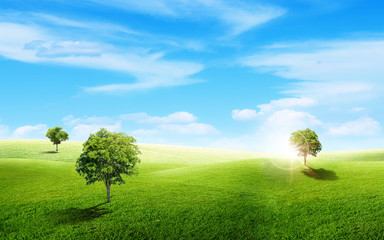 Fototapeta na wymiar Beautiful landscape view of green trees with grass natural meadow field and little hill with white clouds and blue sky in summer seasonal.