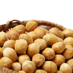 Hazelnut on a white background