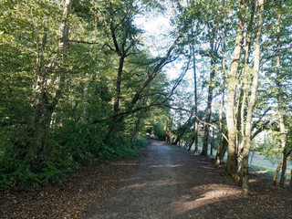 Landschaft von Süddeutschland - Tüllinger Hügel zur Burg Rötteln. Wald- und Höhenwanderung mit herrlichen Ausblicken auf bequemen Wegen