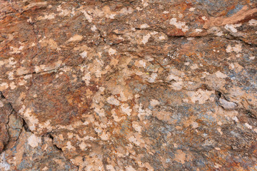 Texture photo for work in photoshop