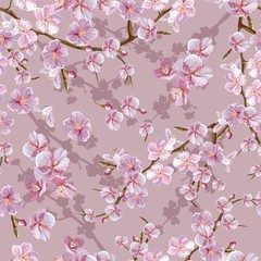 Cheery blossom  seamless pattern vector illustration