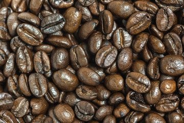 Close up photo of coffee bean