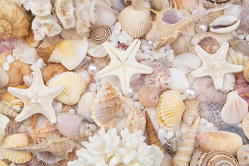 Seashells, pearls and starfishes as background