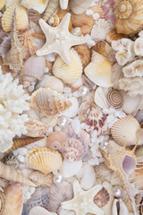 Seashells, pearls and starfishes as background