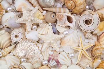 Seashells, pearls and starfishes as background