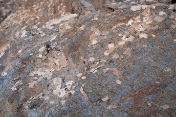 Texture photo for work in photoshop