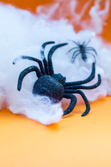 spider web halloween orange background