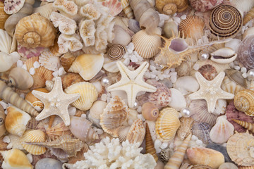 Seashells, pearls and starfishes as background