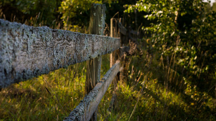 Fototapeta premium Old wooden fence in the woods dividing forest from fields and valleys