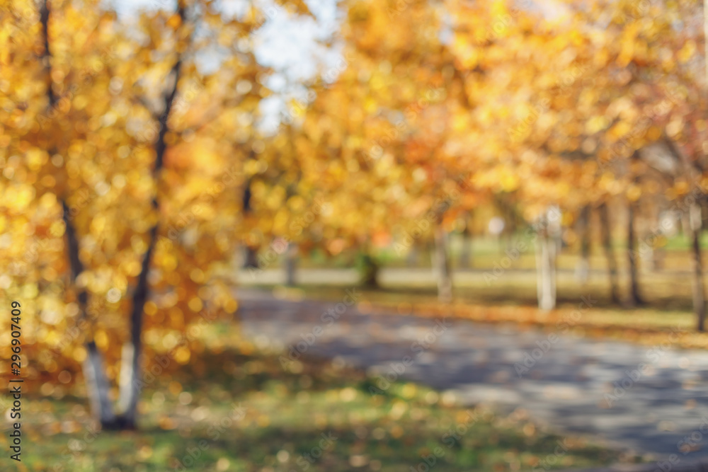 Aufkleber blurred background of autumn park with bokeh. defocused view